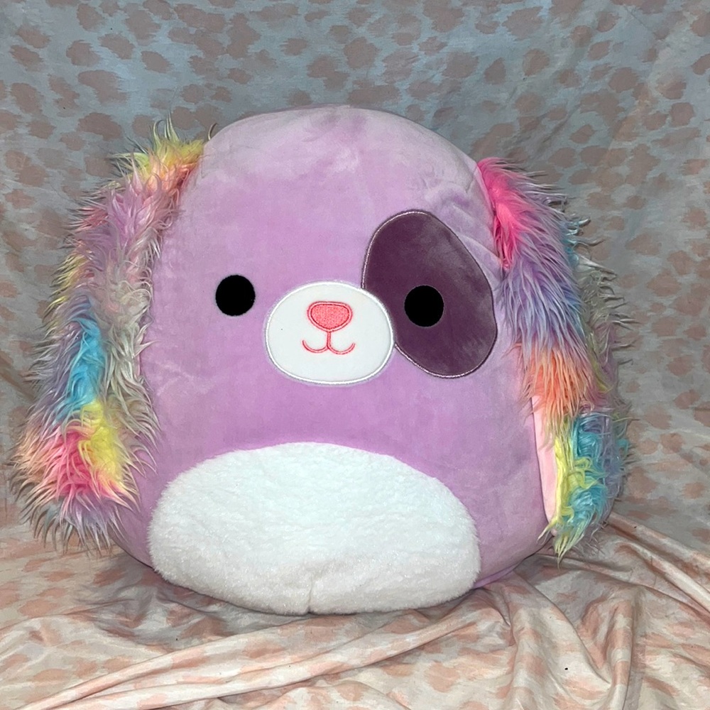 Barb the rainbow dog from the original squishmallow collection